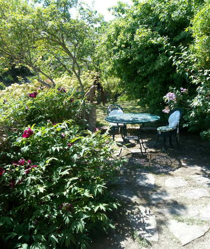 Casa Mezzuola Agriturismo-Tavola nel giardino